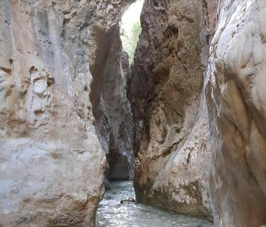 Viajero Del Sol El Morche Torrox Costa Malaga公寓 外观 照片